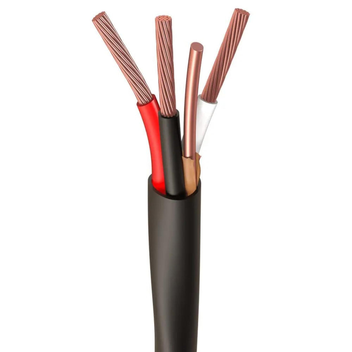 Black 100 Ft Non-Metallic Sheathed Cable Z698