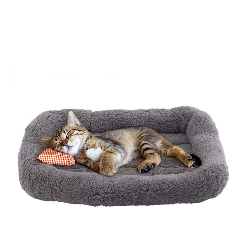 Cat Bed with Pillow, Anti Skid Bottom, Small K587919