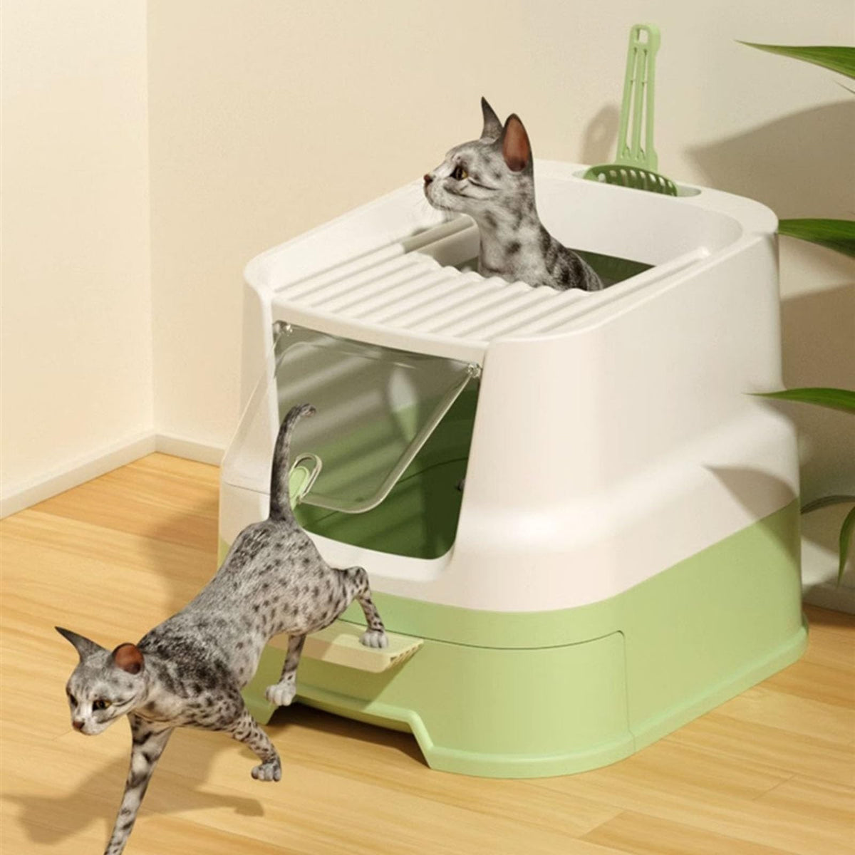 Enclosed Plastic Cat Litter Box with Lid and Scoop J83367