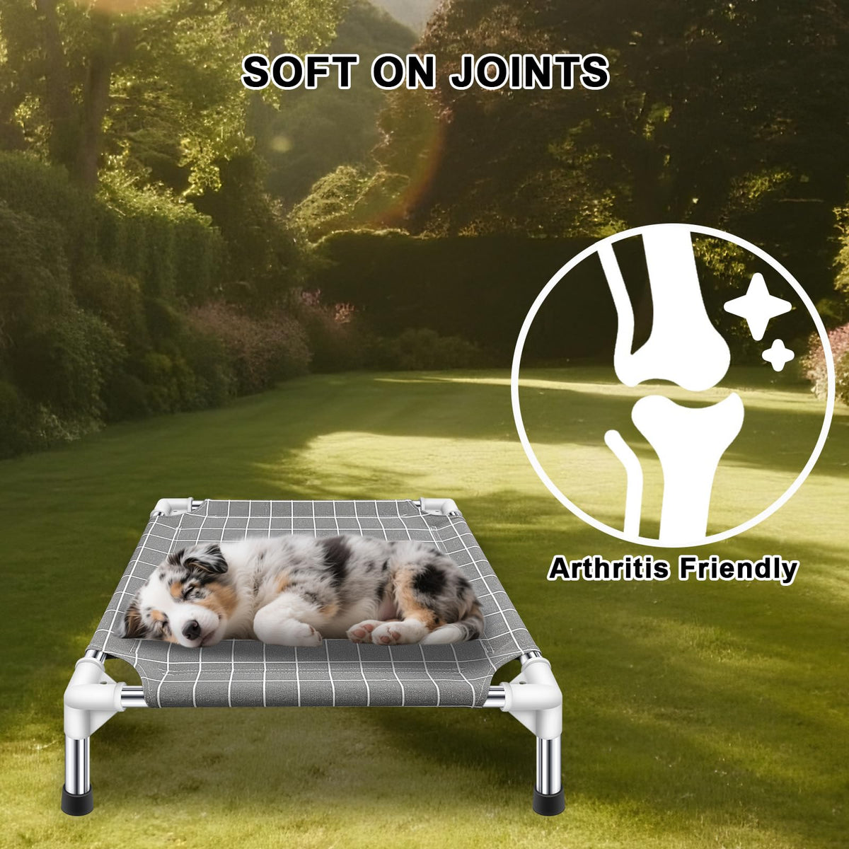 Raised Pet Bed B272