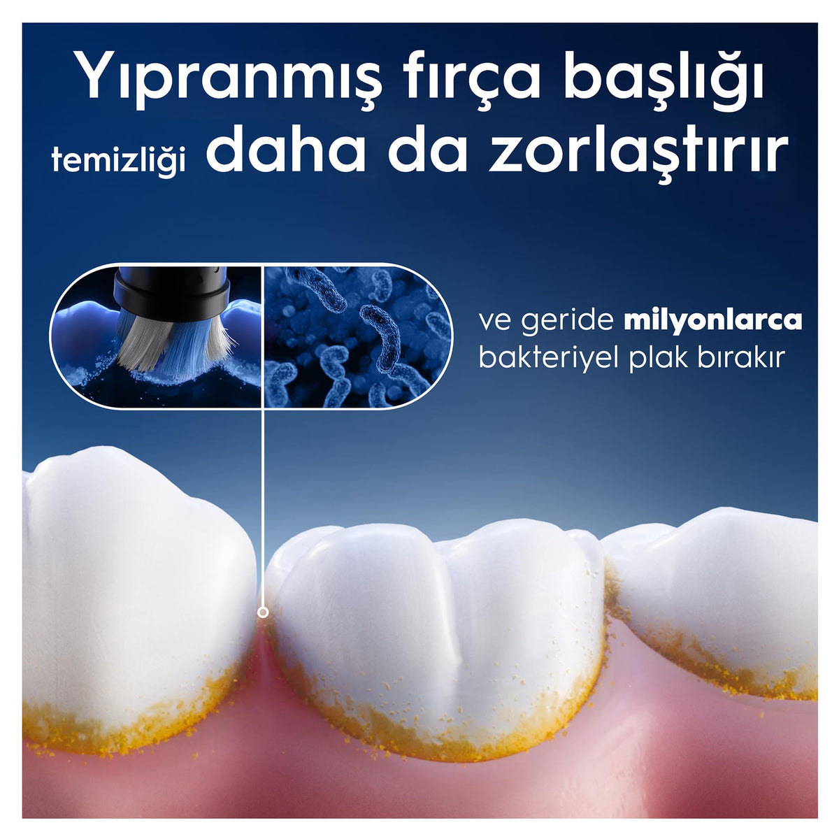 Black Replacement Toothbrush Heads T966