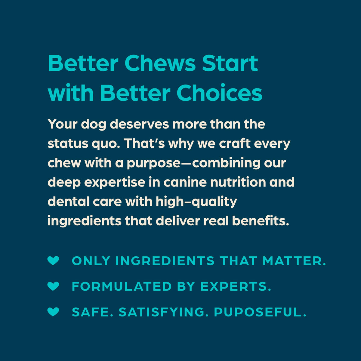 Fresh Mint Flavor Dental Chews, 13 Count X9708