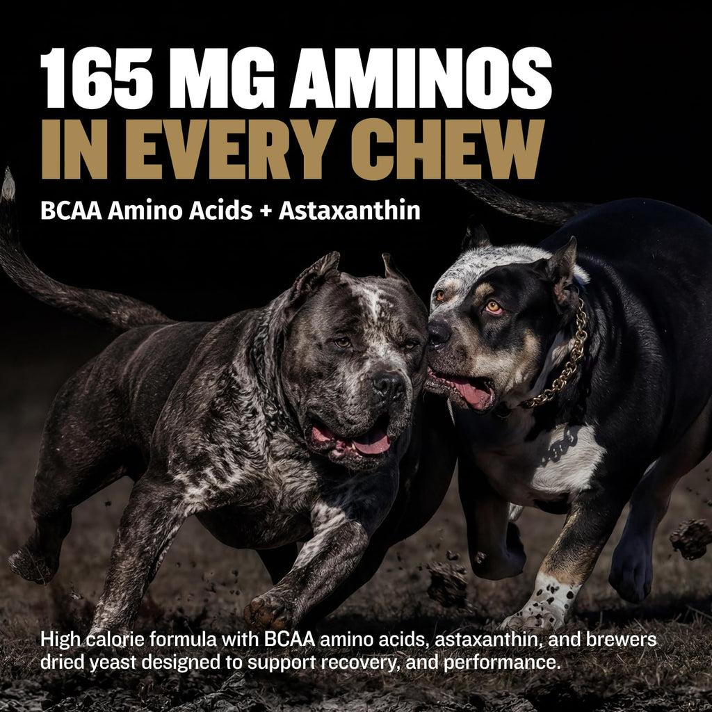 11-in-1 Dog Muscle Builder Power Chews - High Protein Supplement with Amino Acids - 75 Soft Chews K3057