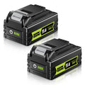 20V Max 5.0Ah Lithium Battery 2 Pack P754