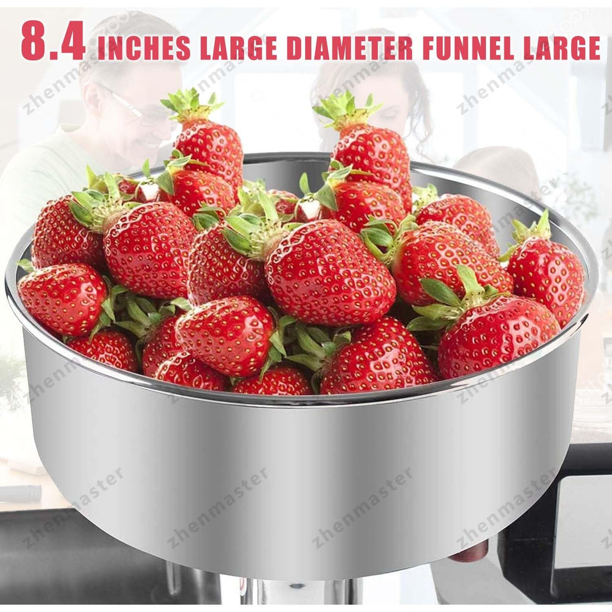 450W Stainless Steel Electric Juicer Q67625
