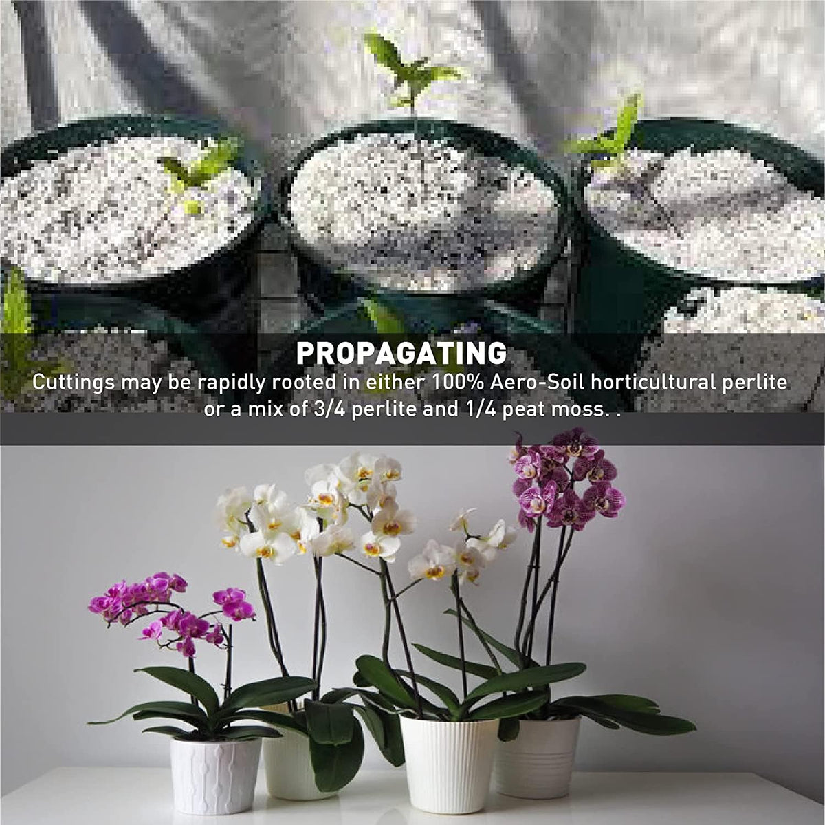 Perlite Horticultural Soil Additive 4 Cubic Foot R736