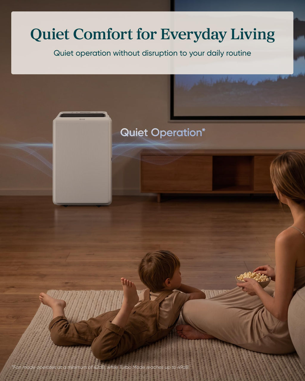 Dehumidifier with Pump Y3942