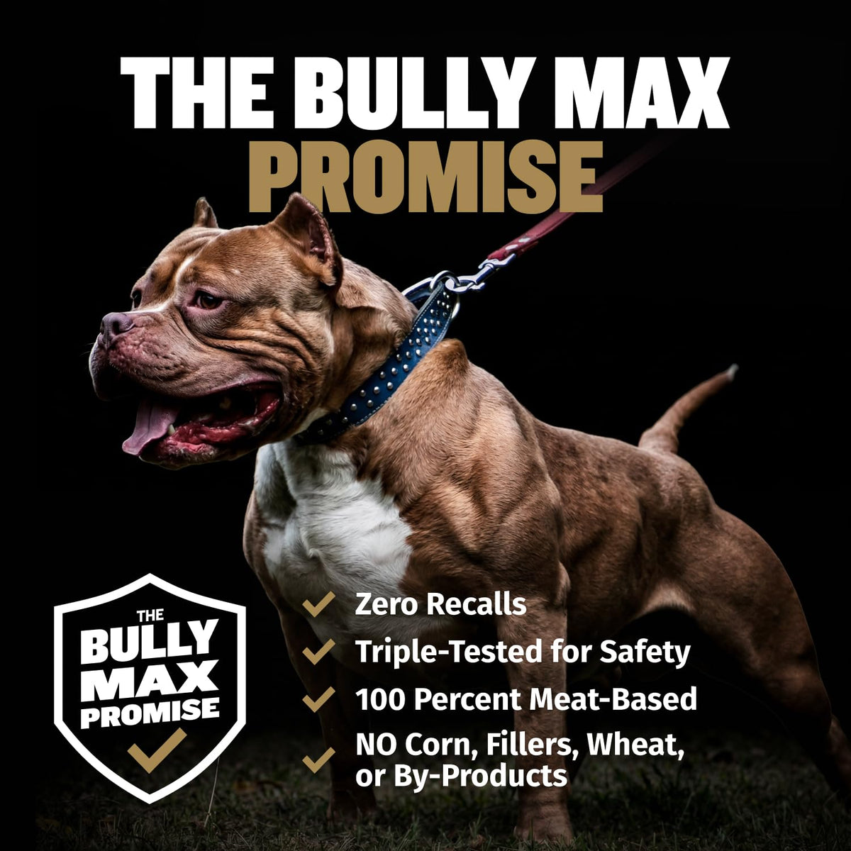 11-in-1 Dog Muscle Builder Power Chews - High Protein Supplement with Amino Acids - 75 Soft Chews K3057