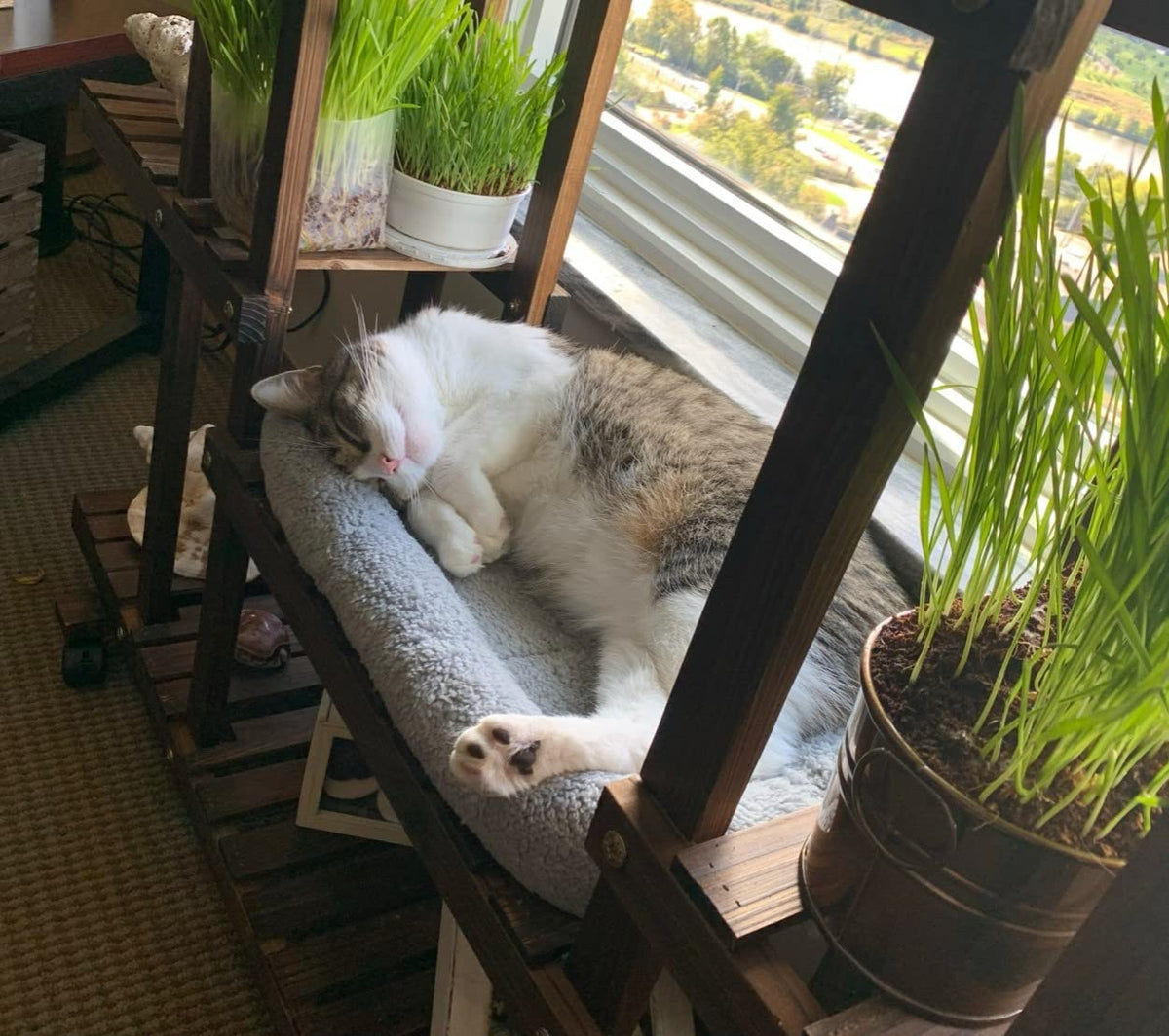 Cat Bed with Pillow, Anti Skid Bottom, Small K587919