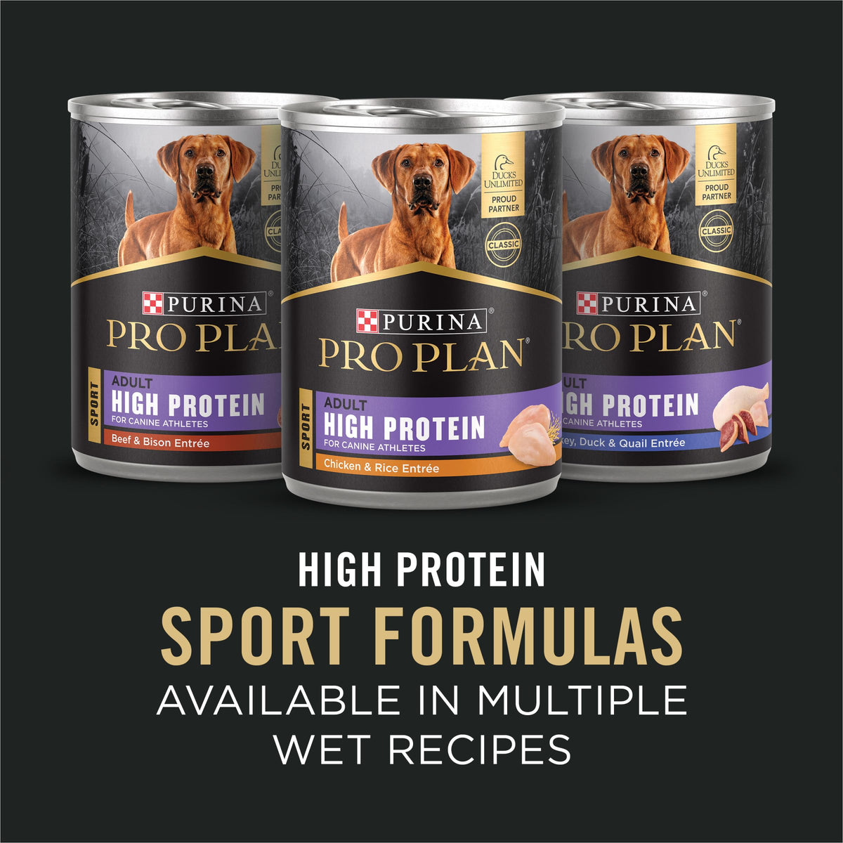 High Protein Dry Dog Food, Chicken, 37.5 lb Bag J6611