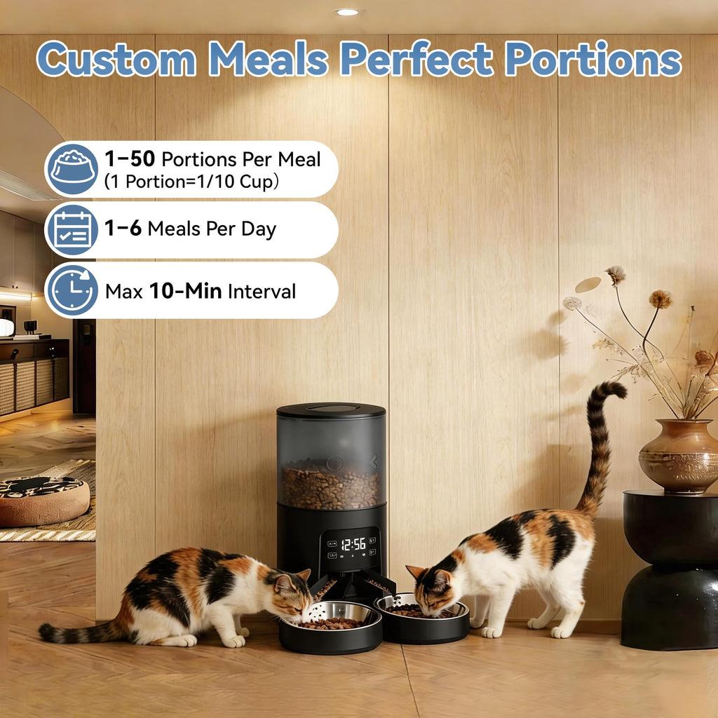 Automatic Cat Feeder for 2 Cats, 6L Black Y924866