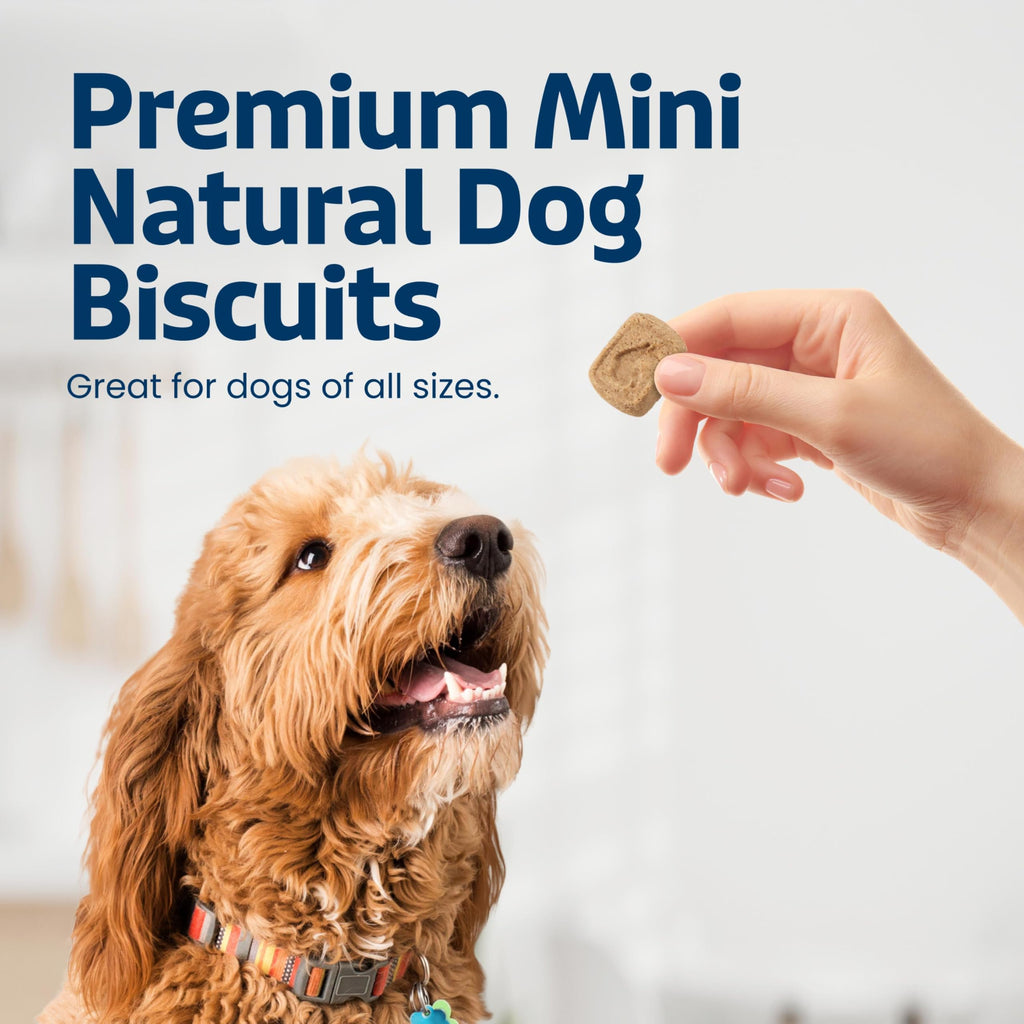 Mini Dog Biscuits A624