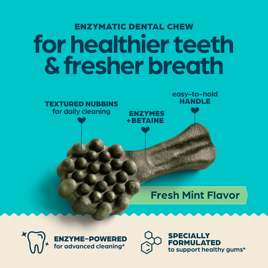 Fresh Mint Flavor Dental Chews, 13 Count X9708