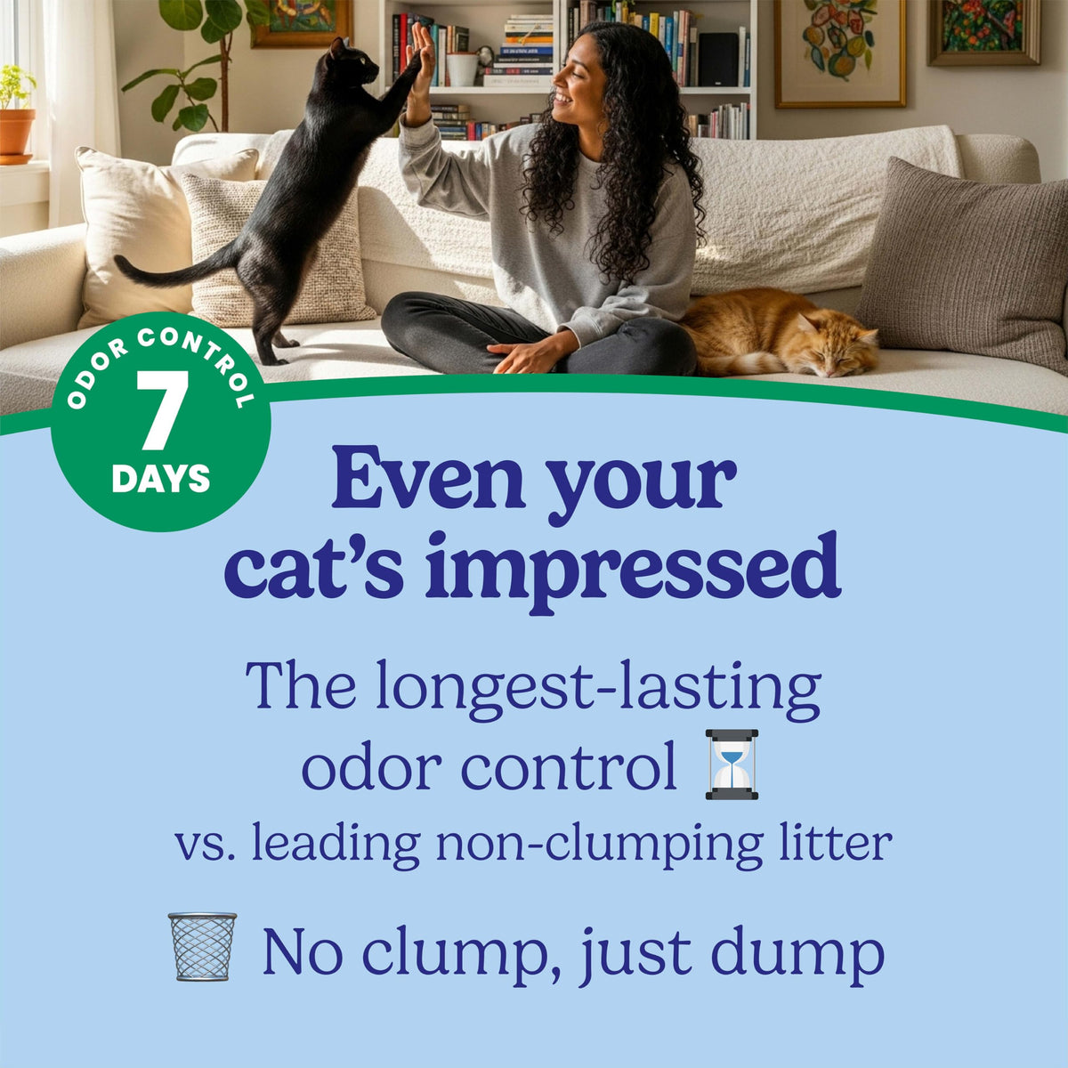 Non-Clumping Cat Litter with Odor Control, 35 lb. Bag R77931