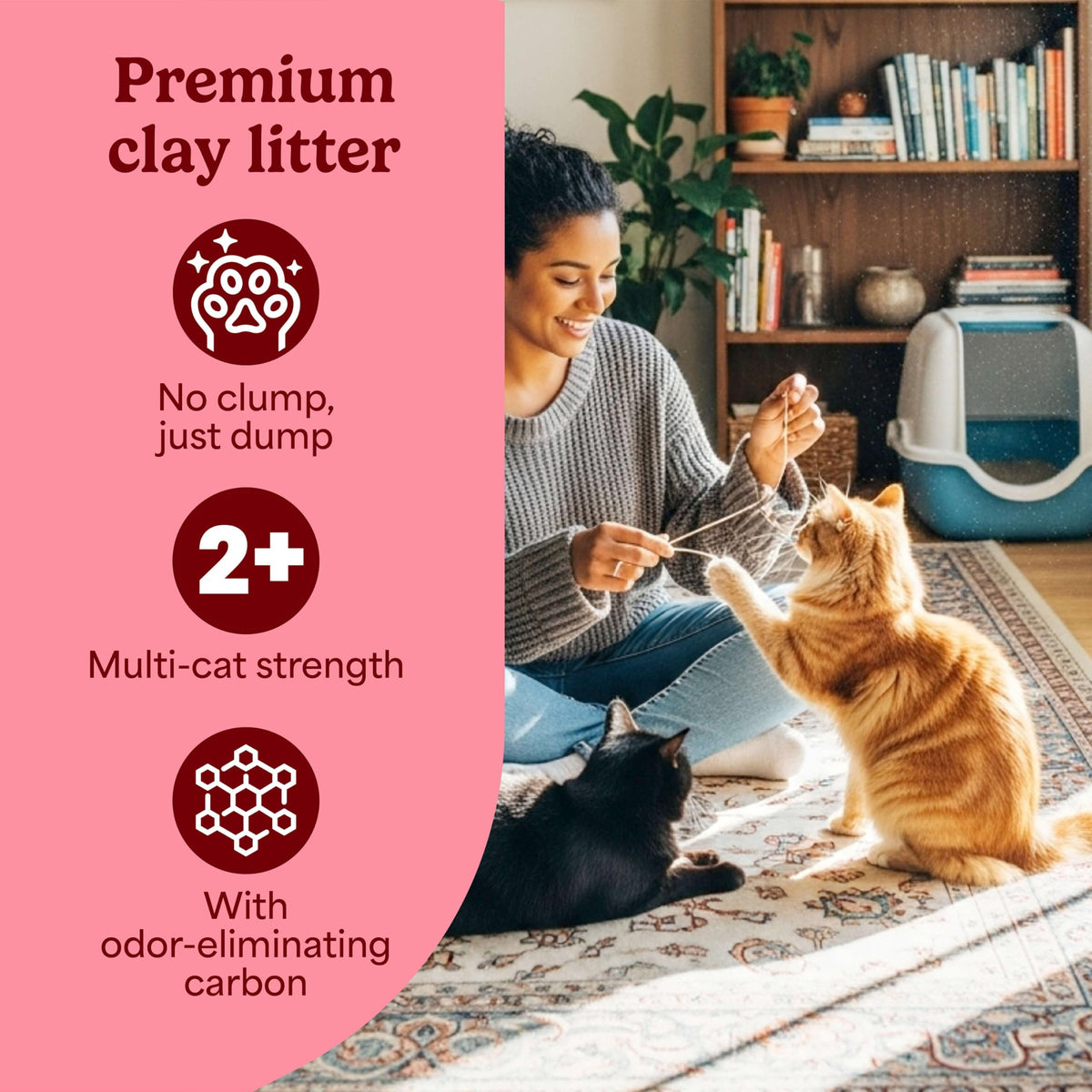 Non-Clumping Cat Litter with Odor Control, 35 lb. Bag R77931