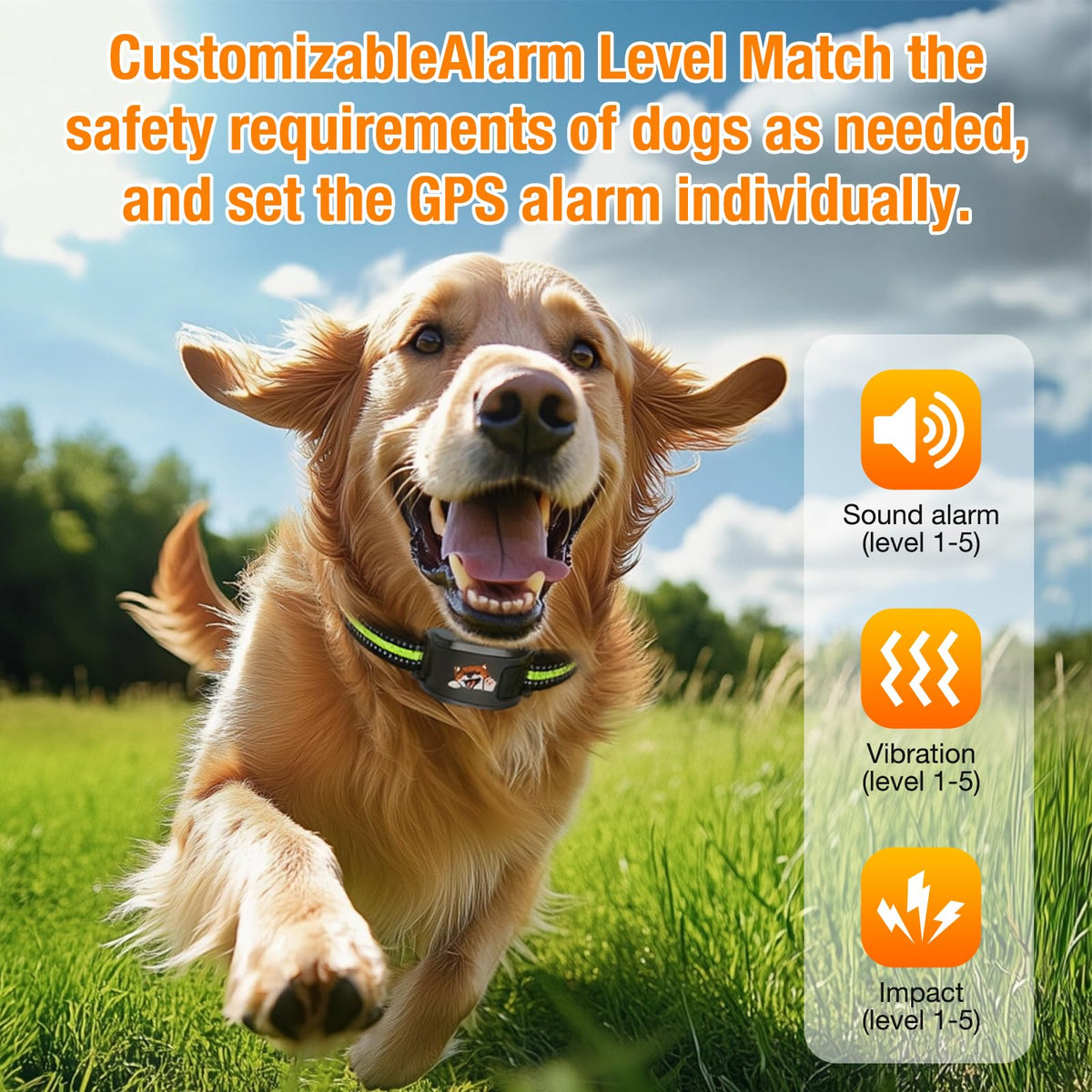Wireless Dog Fence System with Training Collar X318001