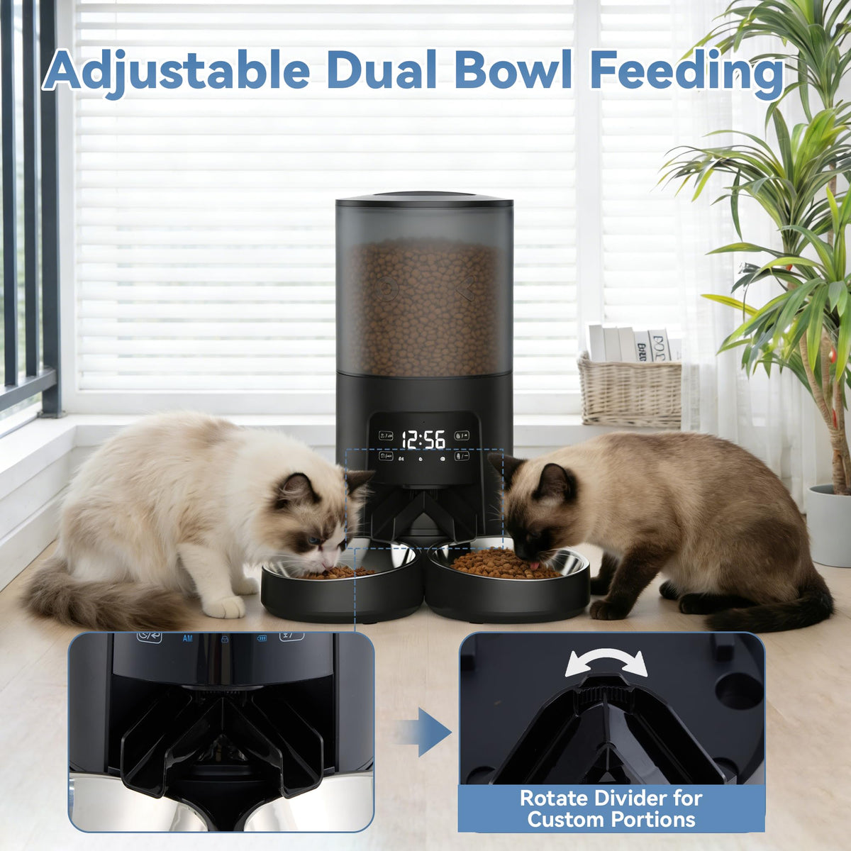 Automatic Cat Feeder for 2 Cats, 6L Black Y924866