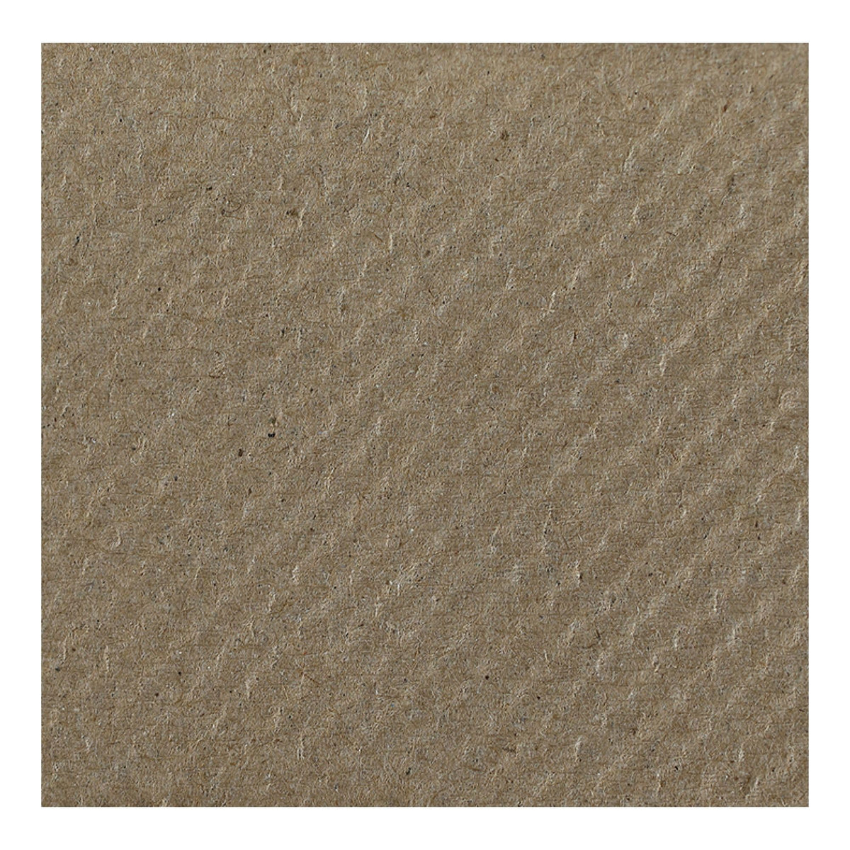 Multifold 1-Ply Paper Hand Towels, 250 Towels/Pack, 16 Packs/Carton X988893