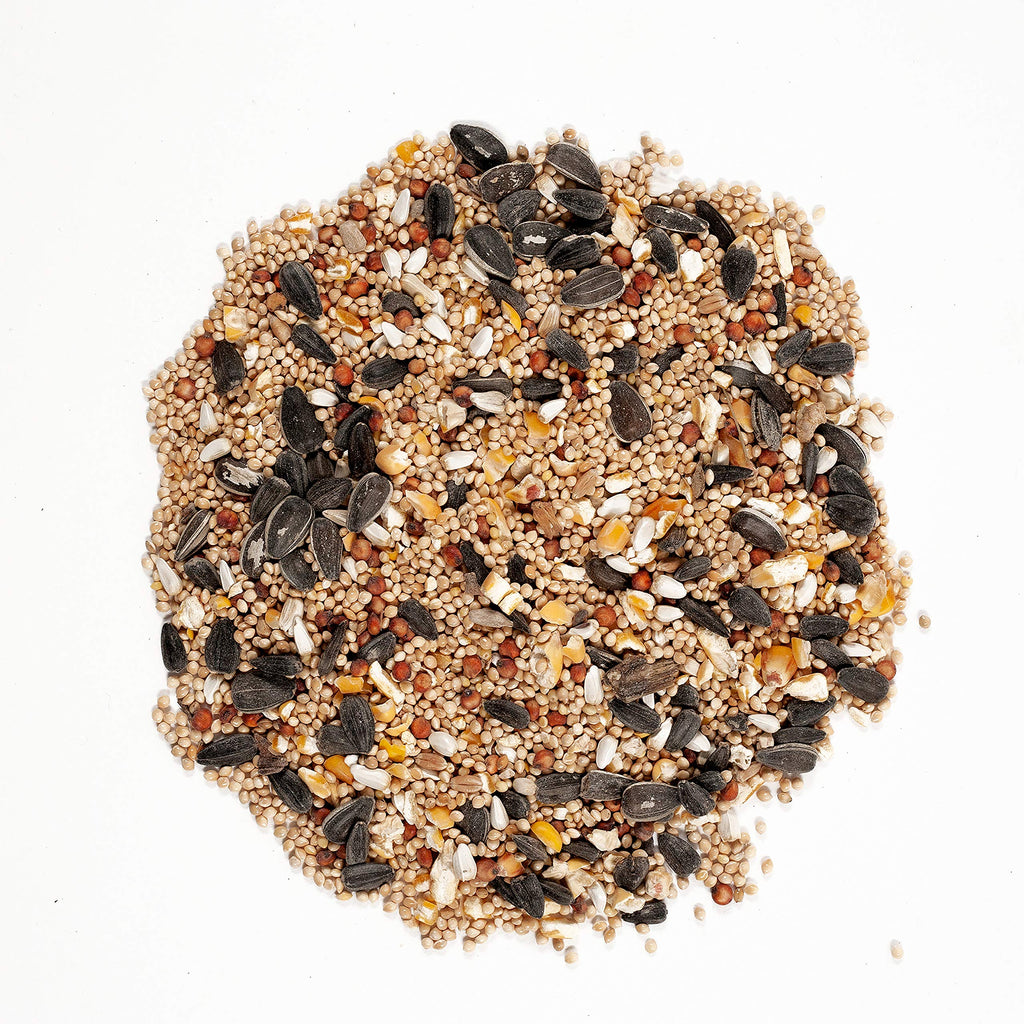 Bird Food Bundle 20 lbs and Safflower Seed 5 lbs C7351